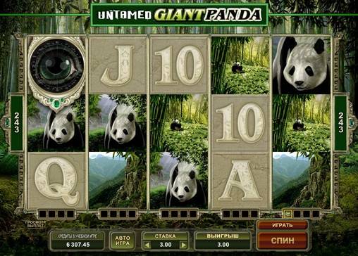 Untamed Giant Panda slot