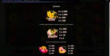 Valentines Fortune: Payout table