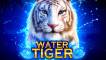 Water Tiger