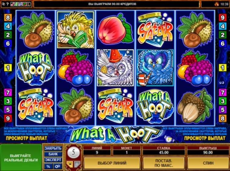 Play What a Hoot slot