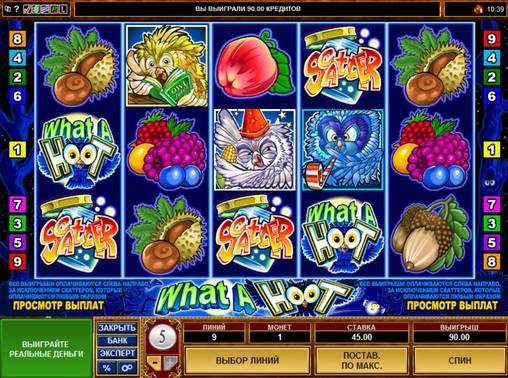 What a Hoot slot