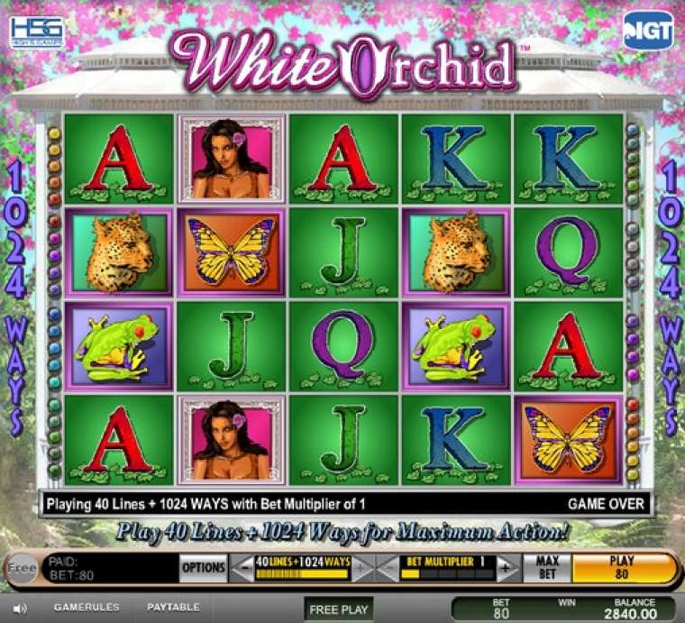 Play White Orchid slot