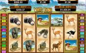 White Rhino (Real Time Gaming)