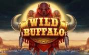 Wild Buffalo (NetGame Entertainment)