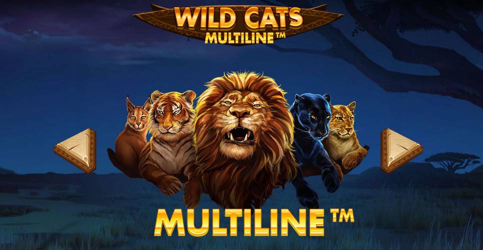Wild Cats Multiline slot