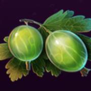 Wild Cherry Blast: Gooseberry