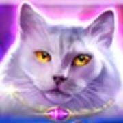 Wild Hearts: Cat