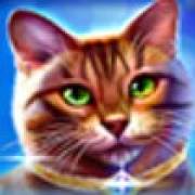 Wild Hearts: Cat