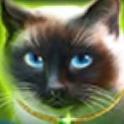 Wild Hearts: Russian cat