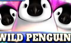 Play Wild Penguin