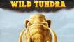 Wild Tundra