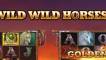 Wild Wild Horses