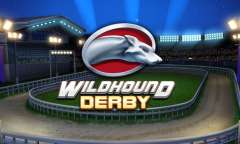 Play Wildhound Derby