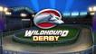 Wildhound Derby