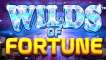 Wilds Of Fortune