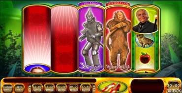 Wizard of Oz – Ruby Slippers: Unique features