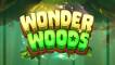 Wonder Woods