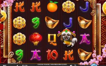 Year of the Dog slot