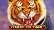 Year of the Tiger