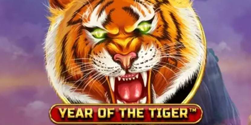 Year of the Tiger slot