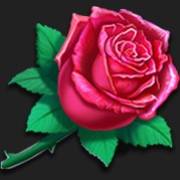 Zorro Wild Heart: Rose