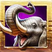 Zulu Gold: Elephant