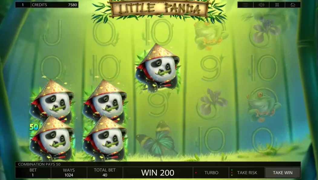 Little Panda
